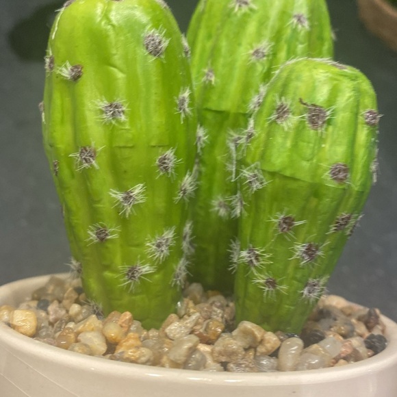 Faux Cactus Planter - Picture 5 of 5